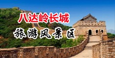 插入穴穴14P中国北京-八达岭长城旅游风景区